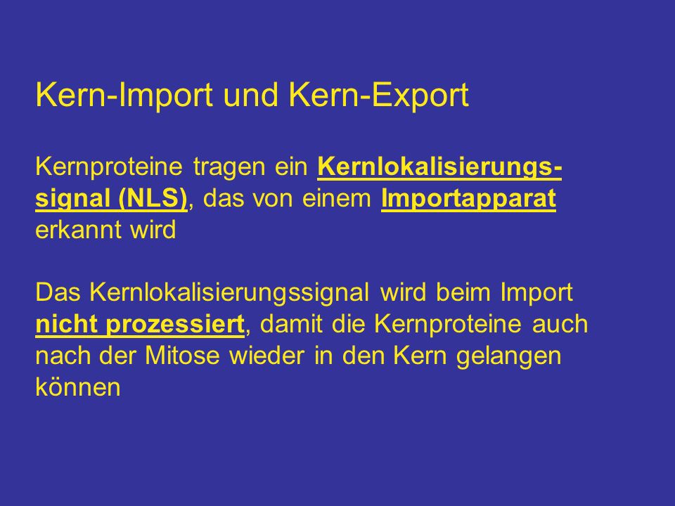 Kern-Import und Kern-Export