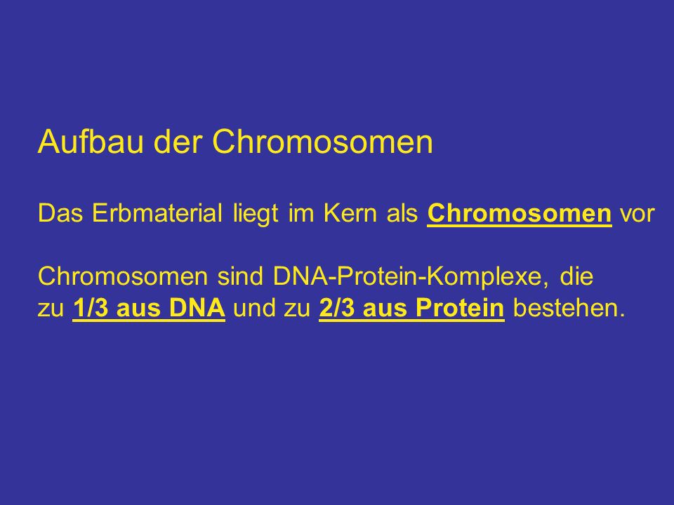 Aufbau der Chromosomen