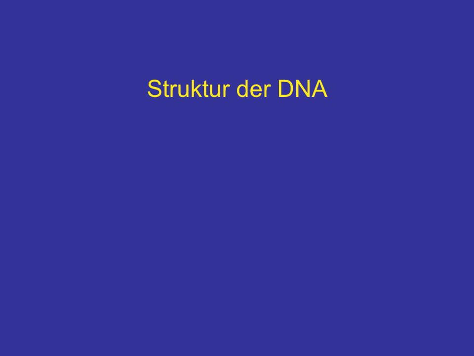 Struktur der DNA