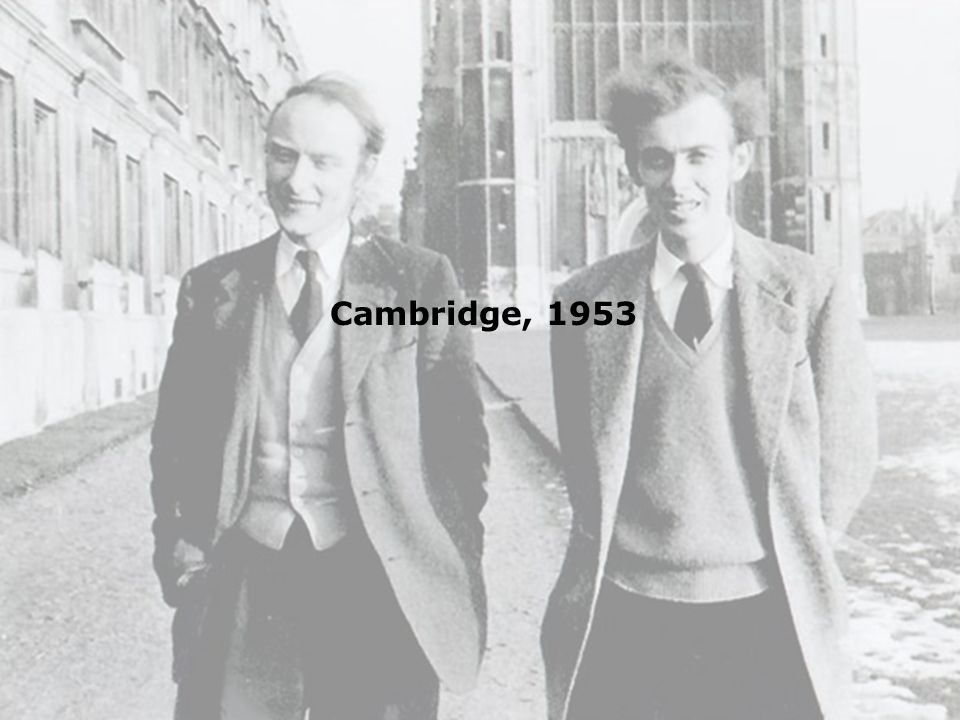 Cambridge, 1953