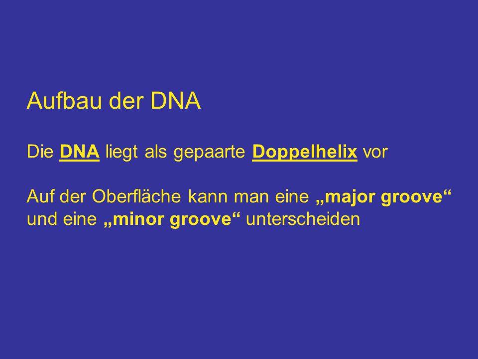 Aufbau der DNA Die DNA liegt als gepaarte Doppelhelix vor