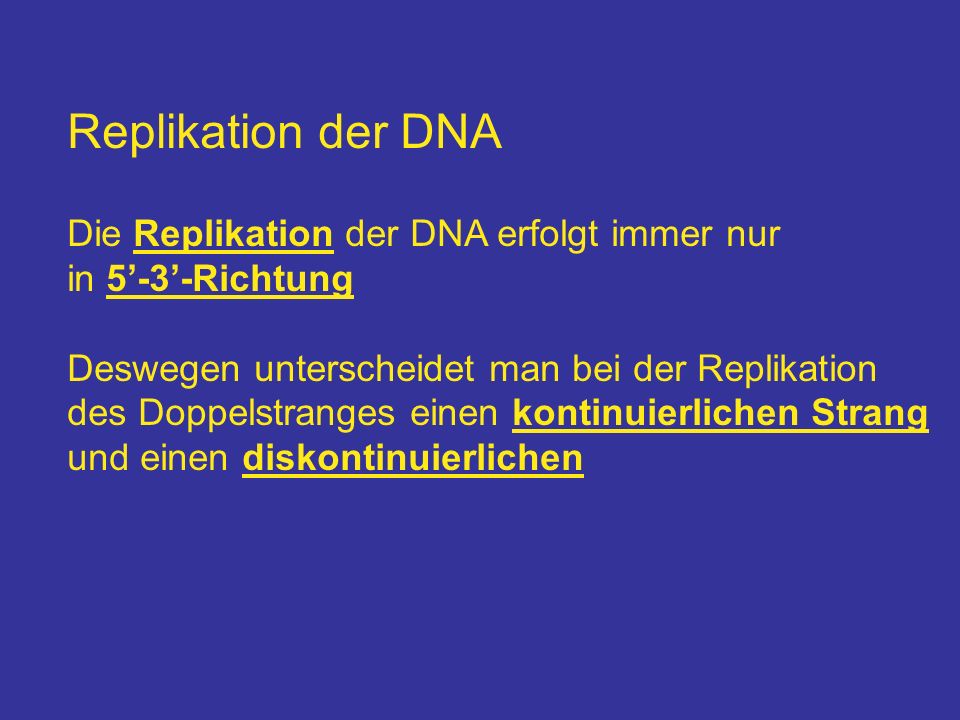 Replikation der DNA Die Replikation der DNA erfolgt immer nur