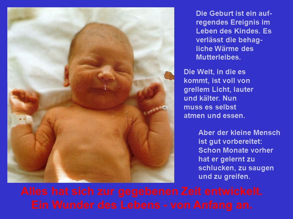 Die Geburt ist ein auf-regendes Ereignis im Leben des Kindes