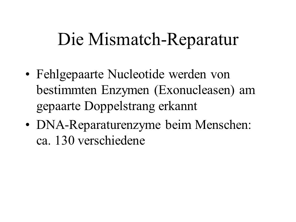 Die Mismatch-Reparatur