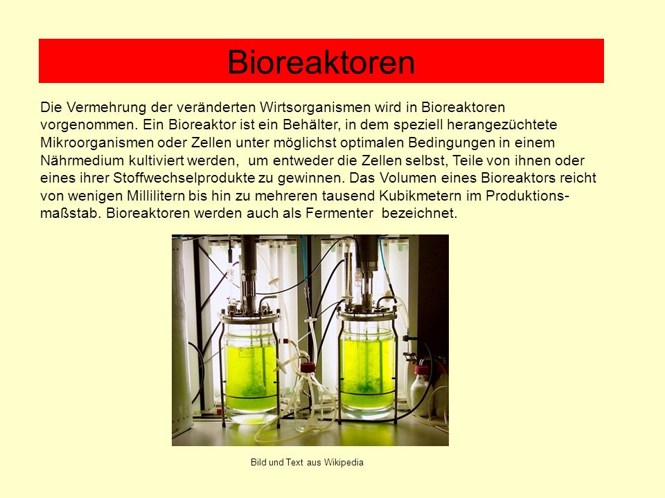 Bioreaktoren