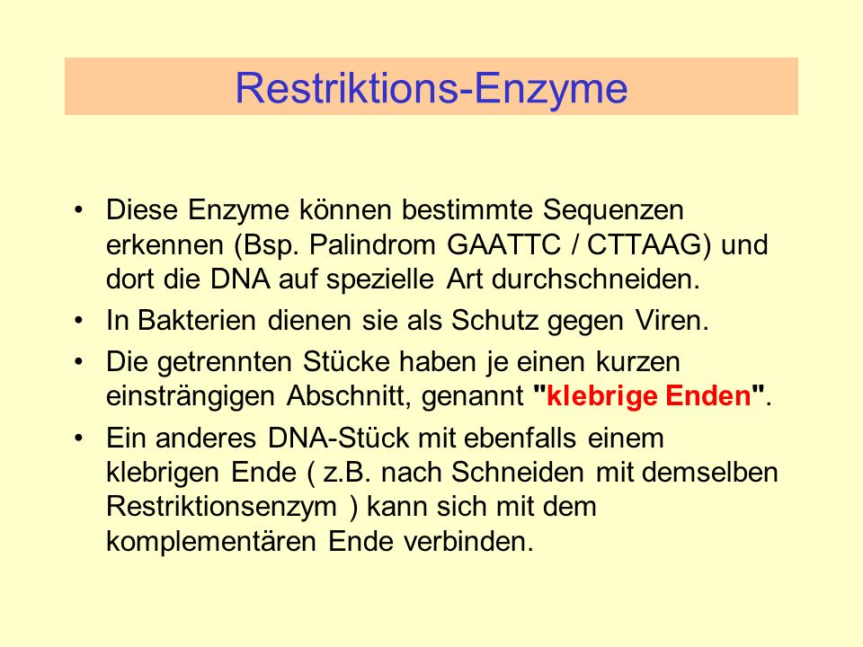 Restriktions-Enzyme