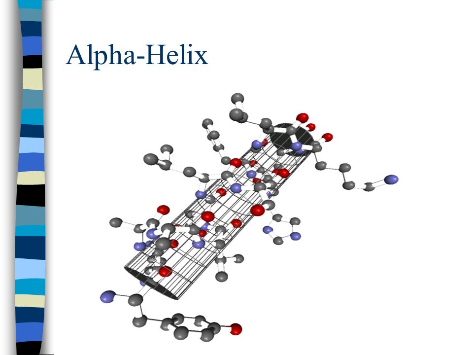 Alpha-Helix
