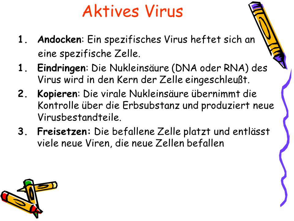 Aktives Virus Andocken: Ein spezifisches Virus heftet sich an