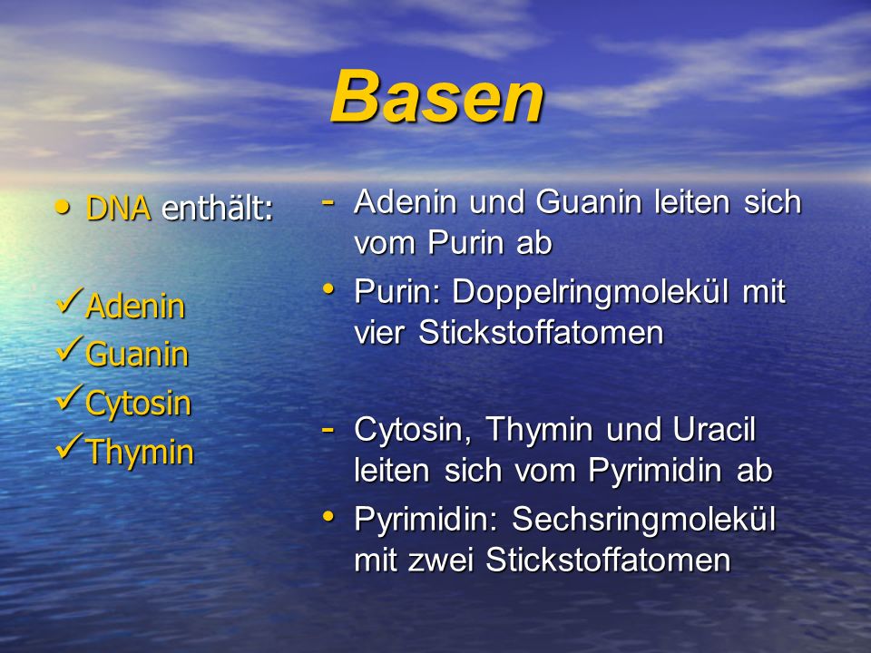 Basen Adenin und Guanin leiten sich vom Purin ab DNA enthält: