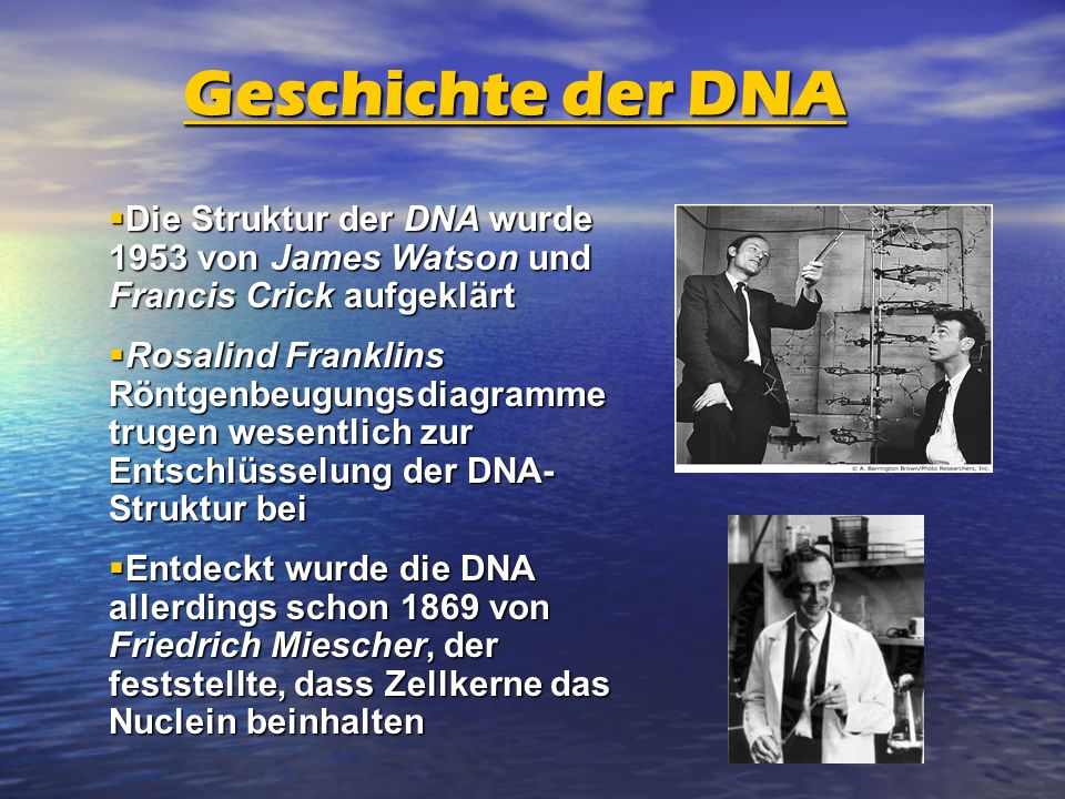 Geschichte der DNA Die Struktur der DNA wurde 1953 von James Watson und Francis Crick aufgeklärt.