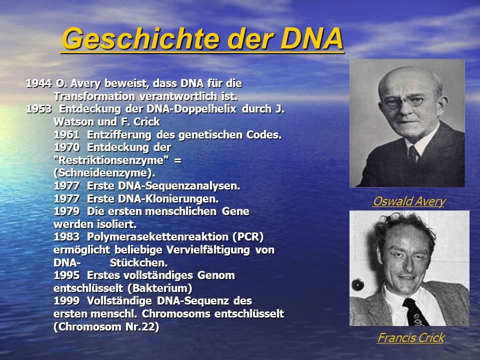 Geschichte der DNA Oswald Avery Francis Crick
