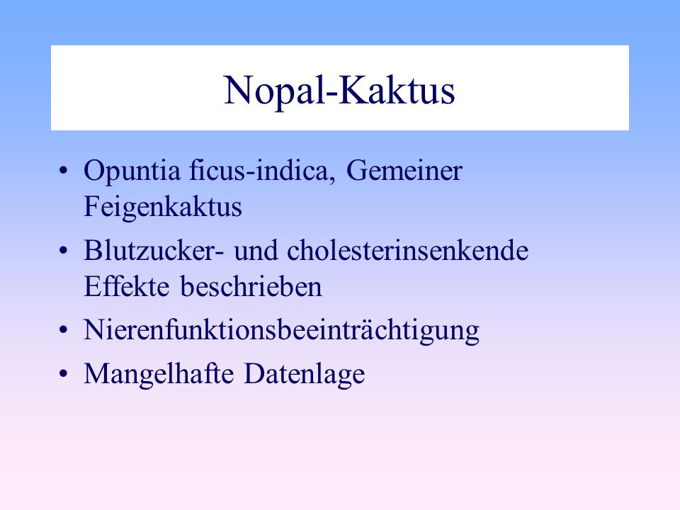 Nopal-Kaktus Opuntia ficus-indica, Gemeiner Feigenkaktus