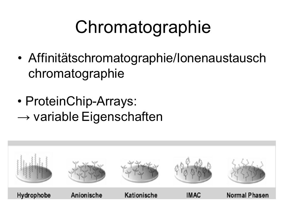 Chromatographie Affinitätschromatographie/Ionenaustauschchromatographie.