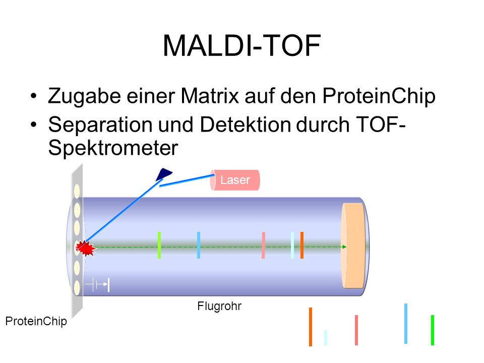 MALDI-TOF Zugabe einer Matrix auf den ProteinChip