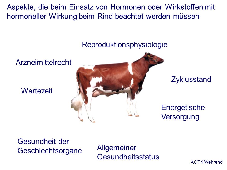 Aspekte, die beim Einsatz von Hormonen oder Wirkstoffen mit hormoneller Wirkung beim Rind beachtet werden müssen