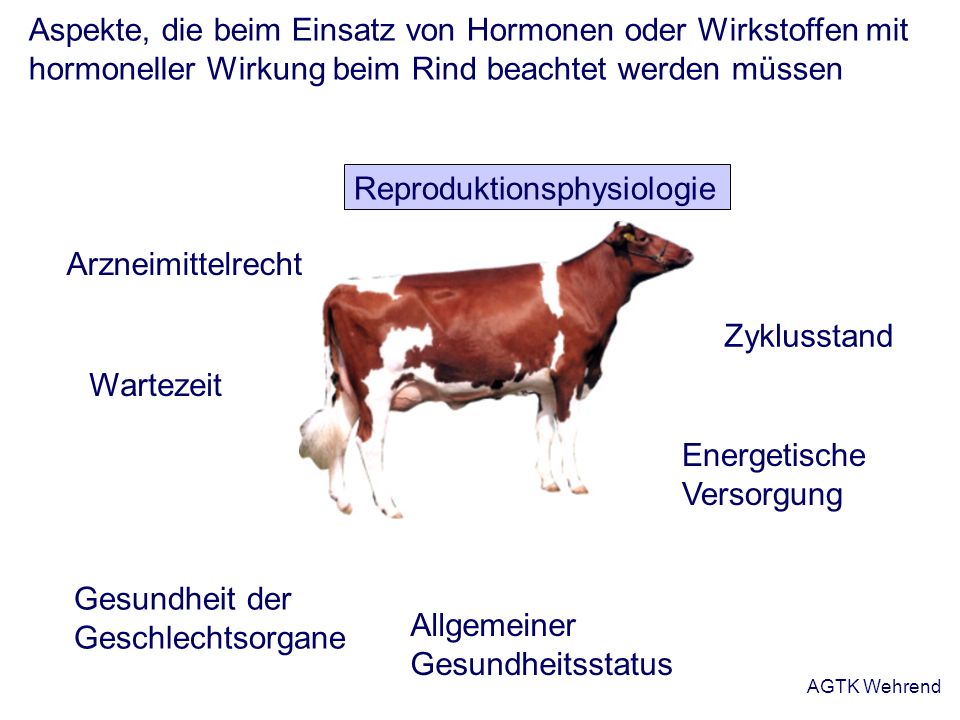 Aspekte, die beim Einsatz von Hormonen oder Wirkstoffen mit hormoneller Wirkung beim Rind beachtet werden müssen