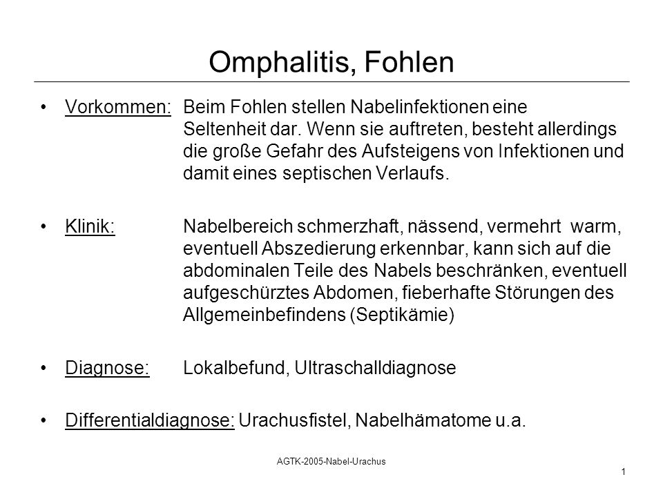 Omphalitis, Fohlen