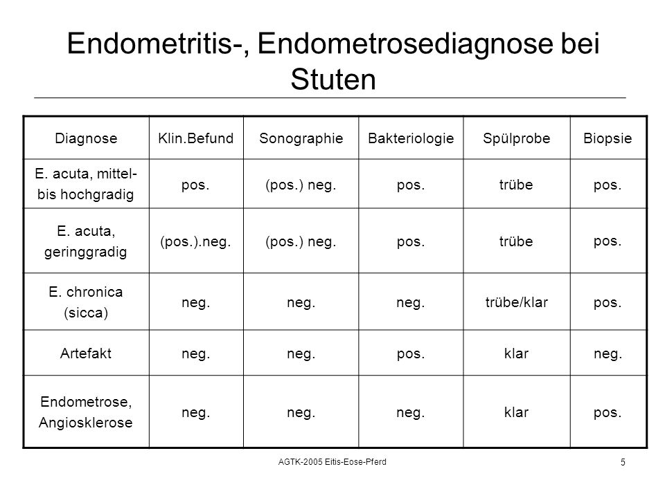 Endometritis-, Endometrosediagnose bei Stuten