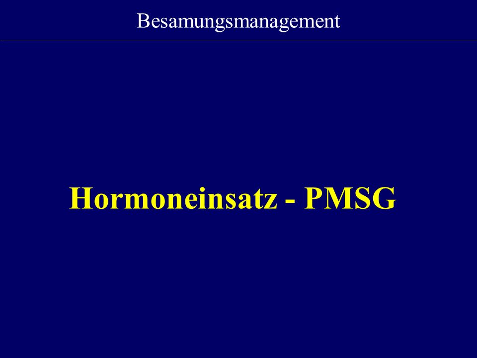 Besamungsmanagement Hormoneinsatz - PMSG