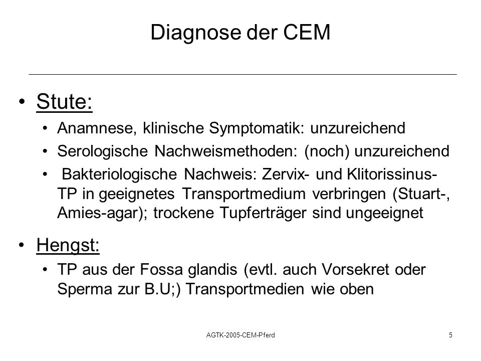 Diagnose der CEM Stute: Hengst: