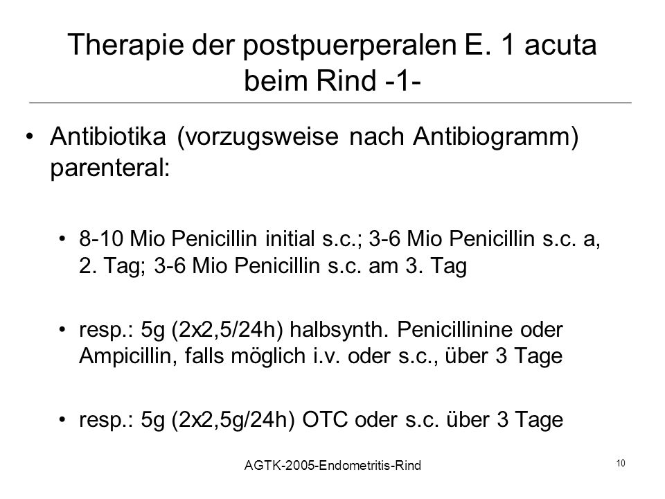 Therapie der postpuerperalen E. 1 acuta beim Rind -1-