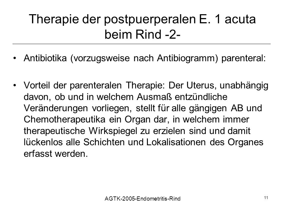Therapie der postpuerperalen E. 1 acuta beim Rind -2-