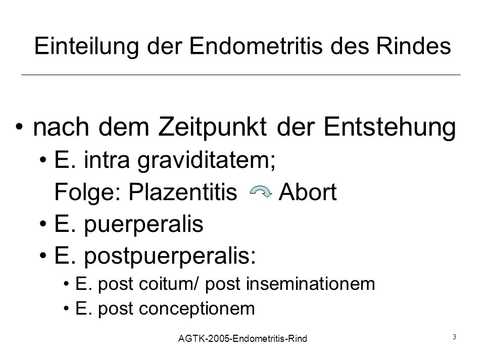 Einteilung der Endometritis des Rindes