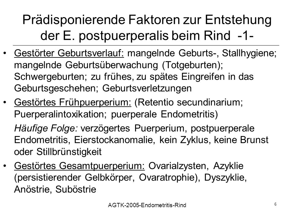 AGTK-2005-Endometritis-Rind