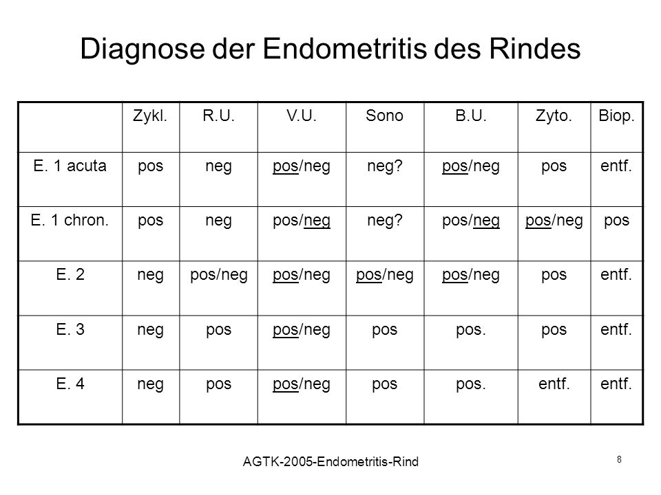 Diagnose der Endometritis des Rindes