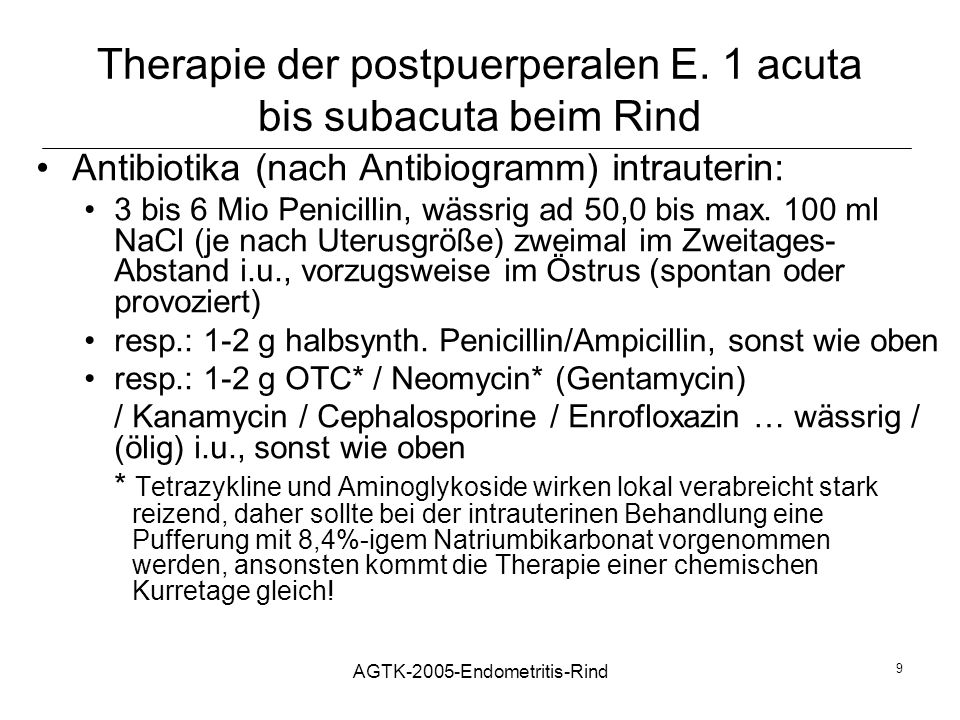 Therapie der postpuerperalen E. 1 acuta bis subacuta beim Rind