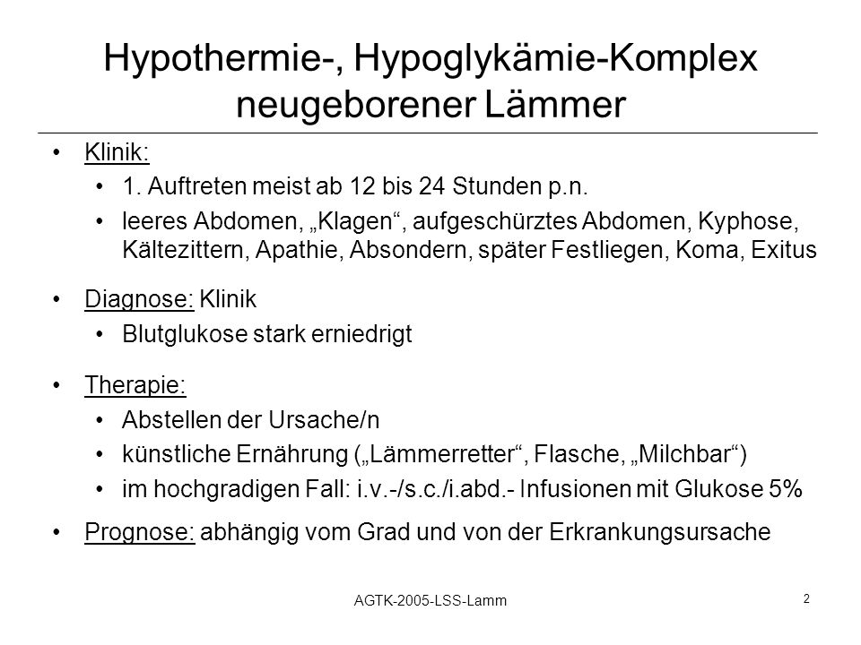 Hypothermie-, Hypoglykämie-Komplex neugeborener Lämmer