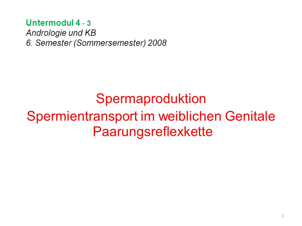 Untermodul Andrologie und KB 6. Semester (Sommersemester) 2008