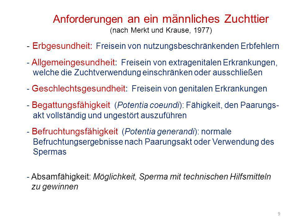 Anforderungen an ein männliches Zuchttier (nach Merkt und Krause, 1977)
