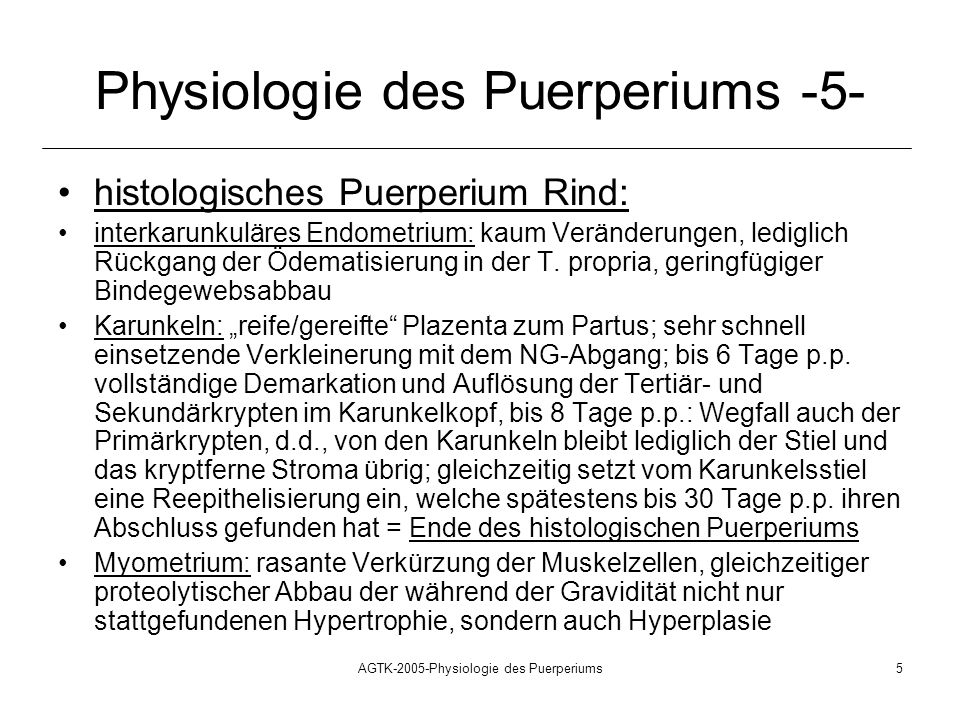 Physiologie des Puerperiums -5-