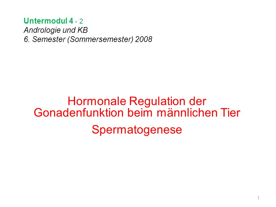 Untermodul Andrologie und KB 6. Semester (Sommersemester) 2008