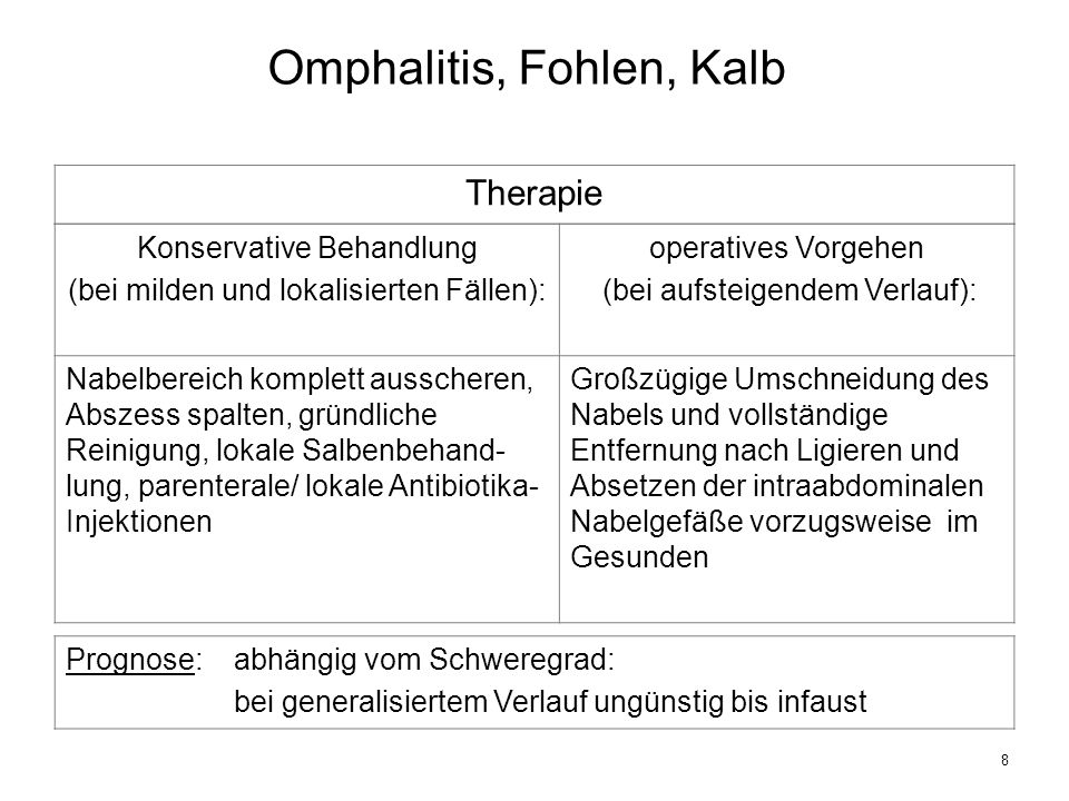 Omphalitis, Fohlen, Kalb