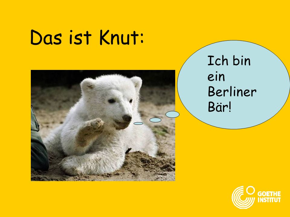 Das ist Knut: Ich bin ein Berliner Bär!
