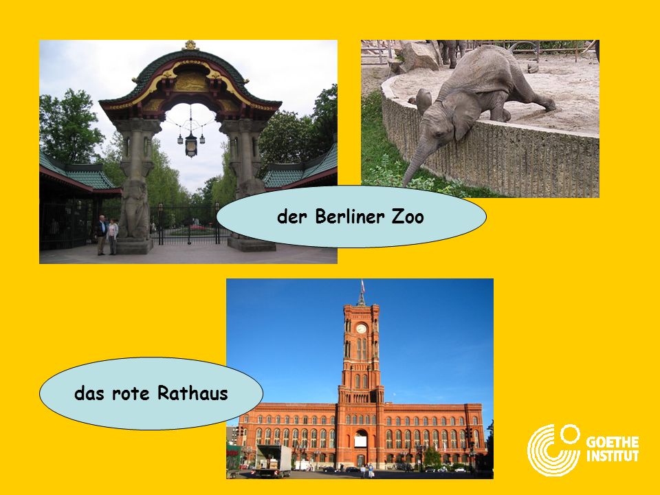 der Berliner Zoo das rote Rathaus