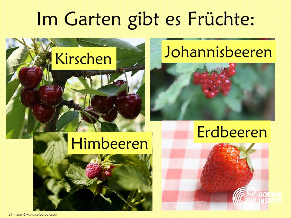 Im Garten gibt es Früchte: