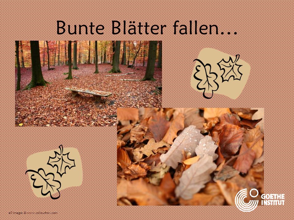 Bunte Blätter fallen… all images ©