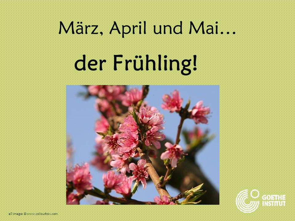 März, April und Mai… der Frühling! all images ©