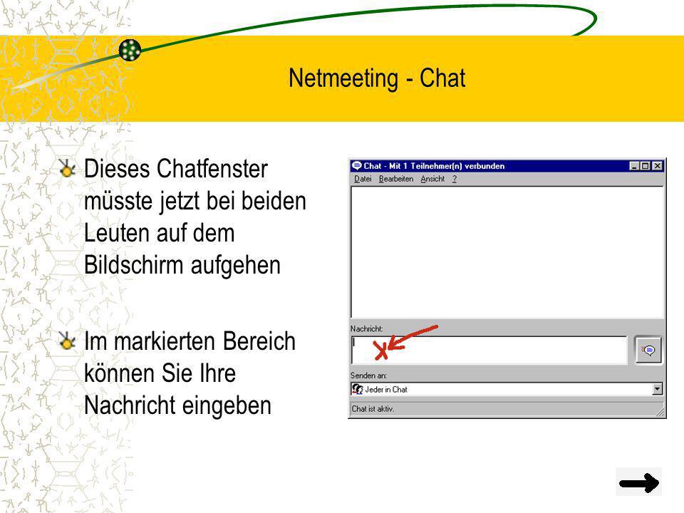 Netmeeting - Chat Dieses Chatfenster müsste jetzt bei beiden Leuten auf dem Bildschirm aufgehen.