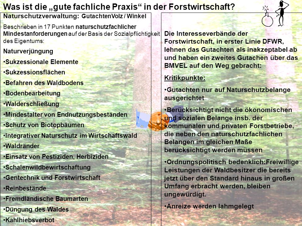 Was ist die „gute fachliche Praxis in der Forstwirtschaft
