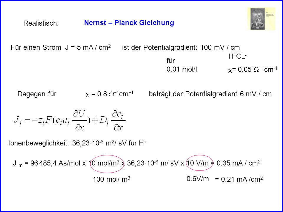 Realistisch: Nernst – Planck Gleichung. Für einen Strom J = 5 mA / cm2. ist der Potentialgradient: 100 mV / cm.