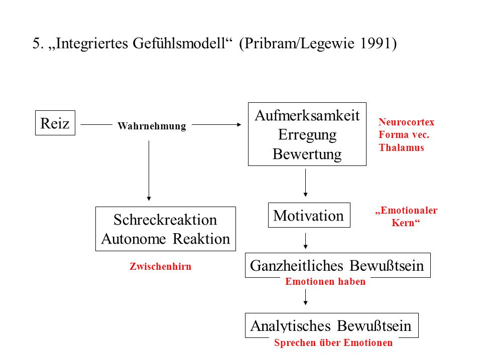 5. „Integriertes Gefühlsmodell (Pribram/Legewie 1991)