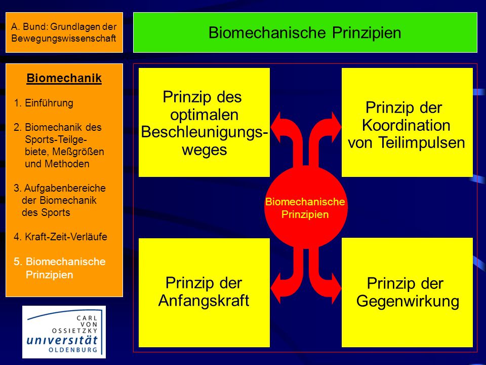 Biomechanische Prinzipien