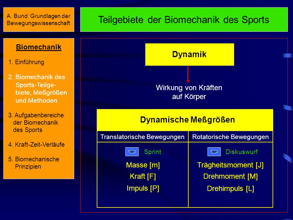 Teilgebiete der Biomechanik des Sports