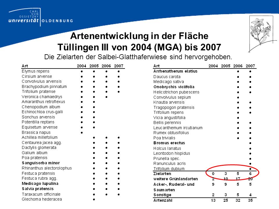 Artenentwicklung in der Fläche Tüllingen III von 2004 (MGA) bis 2007