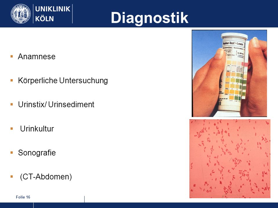 Diagnostik Anamnese Körperliche Untersuchung Urinstix/ Urinsediment