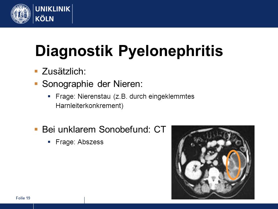 Diagnostik Pyelonephritis